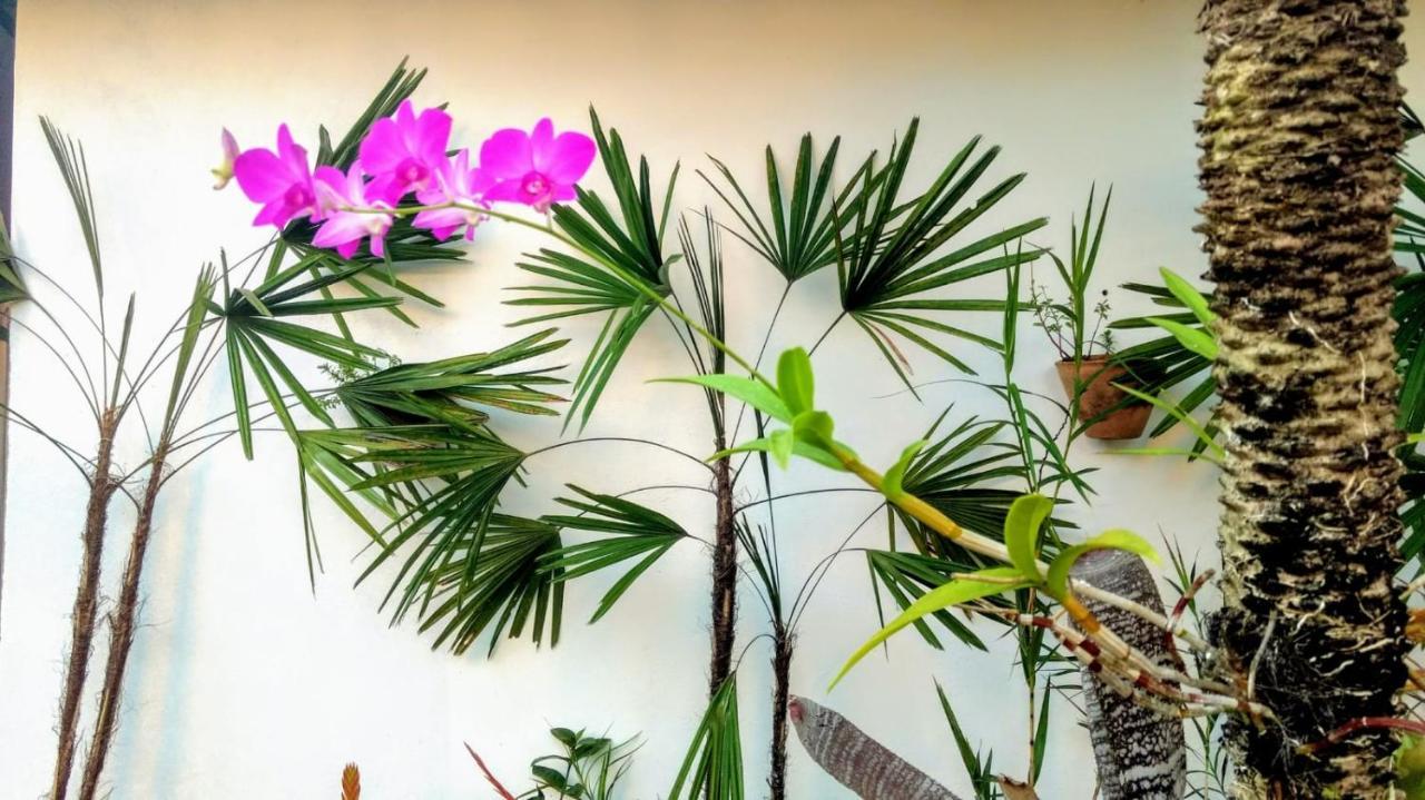 Suites A 50 Metros Da Rua Das Pedras Búzios 外观 照片